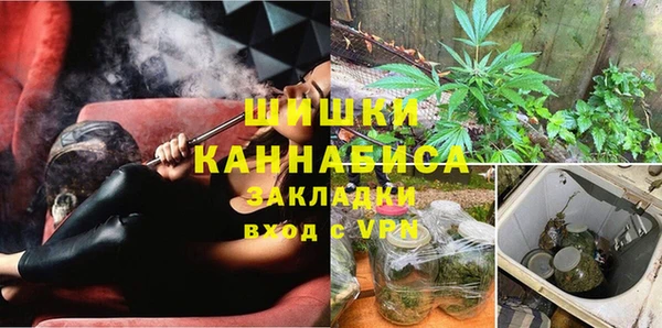 PSILOCYBIN Баксан